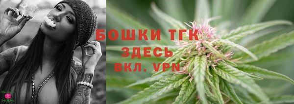 шишки Белоозёрский