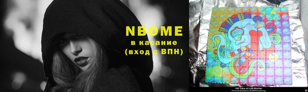 шишки Белоозёрский