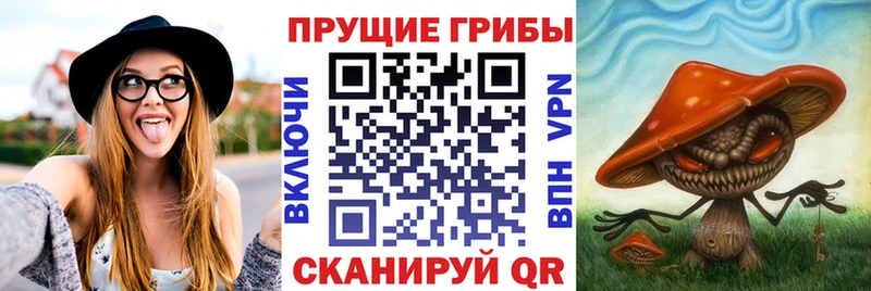 hydra вход  Болотное  Псилоцибиновые грибы мицелий 